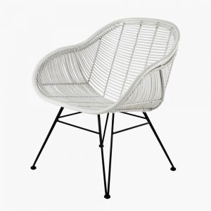 Mauris placerat eleifend